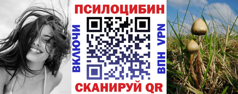Купить где  Гатчина  Галлюциногенные грибы Psilocybine cubensis 